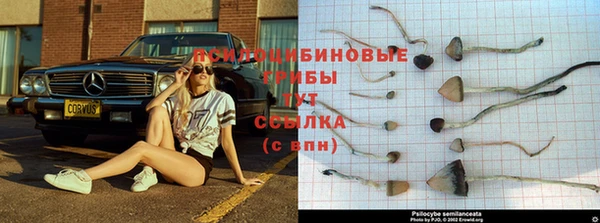 кокаин колумбия Богданович