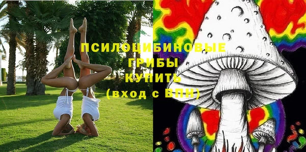 первитин Белокуриха