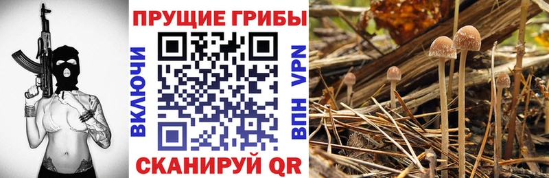 Галлюциногенные грибы Magic Shrooms  даркнет сайт  Благодарный 